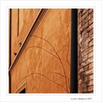 Sottili presenze... Sottili presenze...