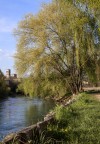 Segui il fiume. Segui il fiume.