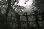 In campagna ... In campagna ...