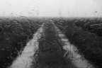 RAIN RAIN