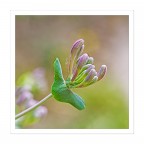 E arrivata la primavera... E arrivata la primavera...