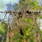 ***Posatoi in saldo*** ***Posatoi in saldo***