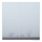 Nebbia elettrica Nebbia elettrica