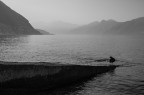 Foschia lombarda Foschia lombarda