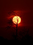 Tramonto Tramonto