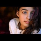 Il Primo Viaggio Il Primo Viaggio