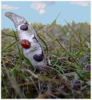 Surfista in erba Surfista in erba