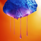 The Jellyfish