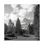 ciuchino ;/) Hasselblaski ciuchino ;/) Hasselblaski