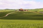 Il Casale sulle colline toscane Il Casale sulle colline toscane