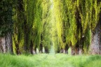 Springtime