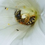 ***Hey...voi due...*** ***Hey...voi due...***