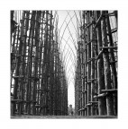 http://www.labissa.com/paola-montonati/item/17639-land-art-a-lodi-la-cattedrale-vegetale-di-giuliano-mauri