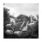 setole ;/) setole ;/)