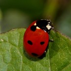 Sono al top! Sono al top!