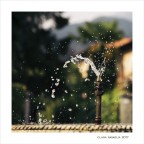 Frizzante... Frizzante...