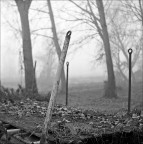 Hasselbladski ! ;/) Hasselbladski ! ;/)