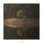 I'm your dad I'm your dad