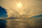 Velature