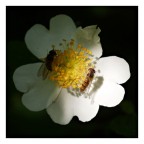 luci ed ombre luci ed ombre