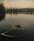 Lago di Posta Fibreno

Suggerimenti e criticiche ben accetti