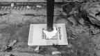 La base culturale