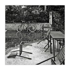 Dopo il temporale Dopo il temporale