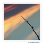 Rivivere... nei colori. Rivivere... nei colori.