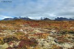 Islanda - Skaftafell