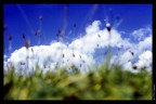 Madonna di Campiglio Monte Spinale Agosto 1991
Nikon FG pellicola FUJI Velvia - SOLIGOR 200 mm F/3.5