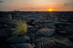 Lava field a Kona, Big Island, Hawaii.