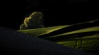 luci e ombre luci e ombre