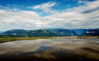 Monte Grappa: Presso Malga Val tosella, estate 2017