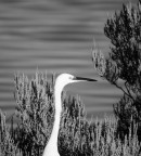 stand by me stand by me