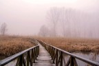 il pontile il pontile