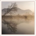 prime luci prime luci