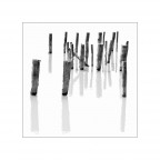 Foto di gruppo Foto di gruppo