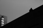 s.t. #01 072017
