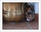 con il cuore in gola... con il cuore in gola...