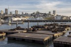 fisherman's wharf san francisco fisherman's wharf san francisco