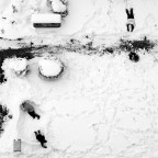 Playing In The Snow Playing In The Snow