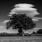 aiuto, un ufo! aiuto, un ufo!