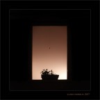 L'assenza... L'assenza...