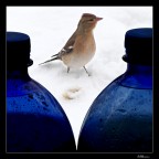 I gendarmi I gendarmi