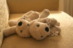 compagni di gioco a riposo compagni di gioco a riposo
