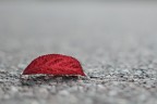 5404