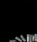 effetto domino effetto domino