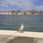 saluti da Venezia saluti da Venezia