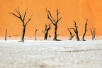 Attraverso la Valle Morta - Deadvlei - Namib Desert Attraverso la Valle Morta - Deadvlei - Namib Desert