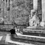 senza titolo senza titolo